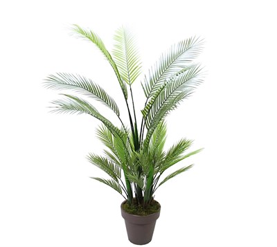 Yapay Areka (Areca) Ağaç 155 cm