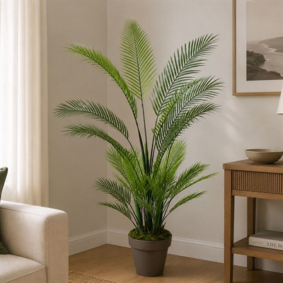 Yapay Areka (Areca) Ağaç 155 cm