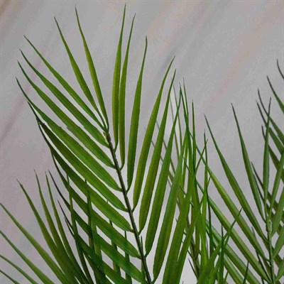 Yapay Areka (Areca) Demet 80 cm