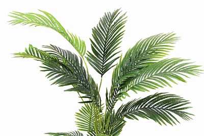 Yapay Areka (Areca) Palmiye Ağaç 5 li 135 cm