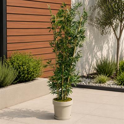 Yapay Bambu Ağaç 130 cm