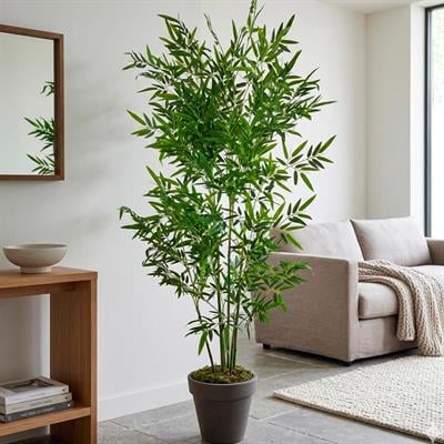 Yapay Bambu Ağaç 6 Dal 160 cm