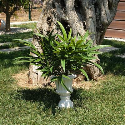 Yapay Bambu Demet 55 cm