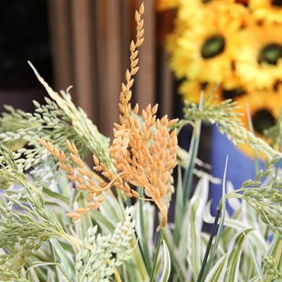 Yapay Başak Yulaf Dalı