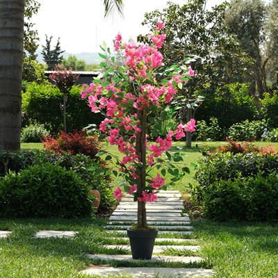 Yapay Begonvil Ağaç Pembe 170 cm