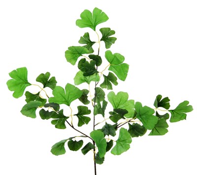 Yapay Mabet Ağacı Yaprağı Yeşil