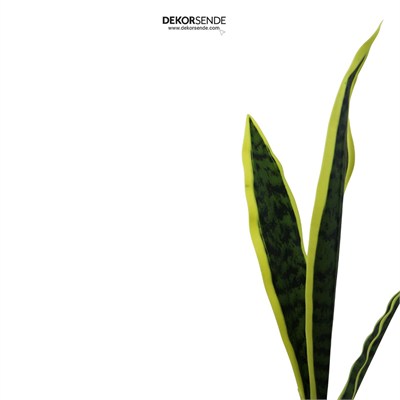 Yapay Bitki Paşakılıcı (Sansevieria) Demet Sarı Yeşil 65 cm