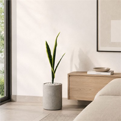 Yapay Bitki Paşakılıcı (Sansevieria) Demet Sarı Yeşil 65 cm