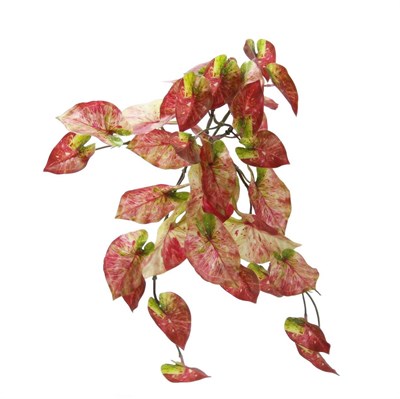 Yapay Caladium Sarmaşık Demet 40 cm
