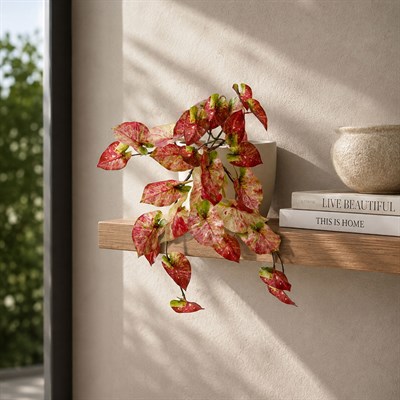 Yapay Caladium Sarmaşık Demet 40 cm