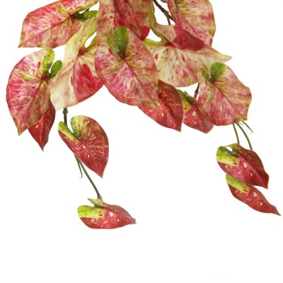 Yapay Caladium Sarmaşık Demet 40 cm