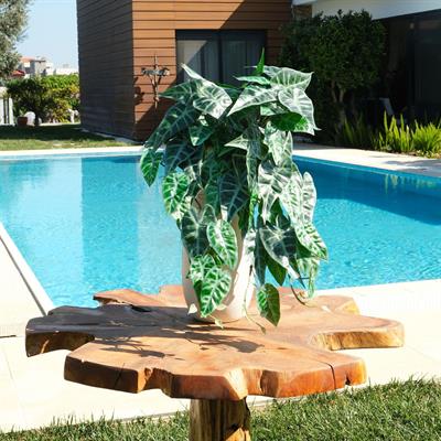 Yapay Caladium Sarmaşık Demeti 55 cm
