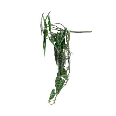 Yapay Caladium Sarmaşık Demeti 55 cm
