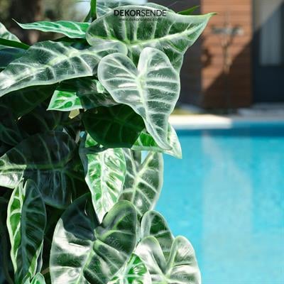 Yapay Caladium Sarmaşık Demeti 55 cm
