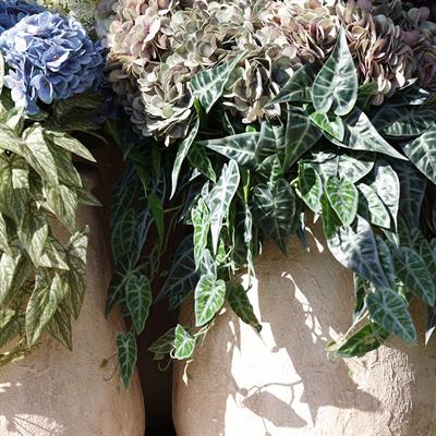 Yapay Caladium Sarmaşık Demeti 55 cm