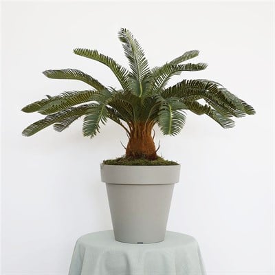 Yapay Cycas Ağaç 80 cm