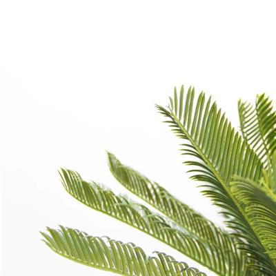 Yapay Cycas Ağacı 80 cm