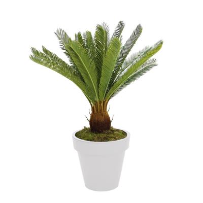 Yapay Cycas Ağacı 80 cm