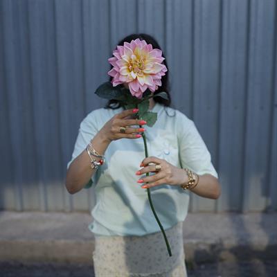 Yapay Dalya Çiçek Dalı Pembe 68 cm