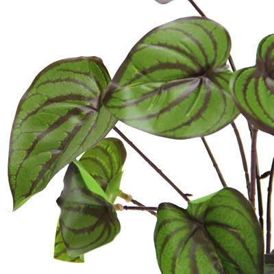 Yapay Damarlı Singonyum Demeti 25 cm