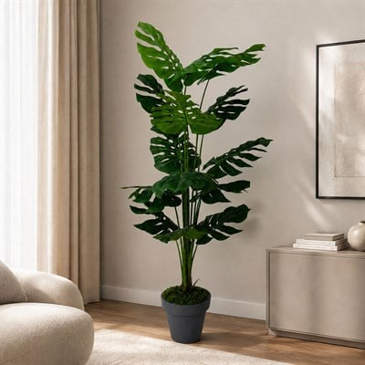 Yapay Deve Tabanı (Monstera) Ağaç 175 cm