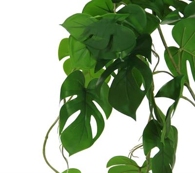 Yapay Deve Tabanı Sarmaşık 85 cm