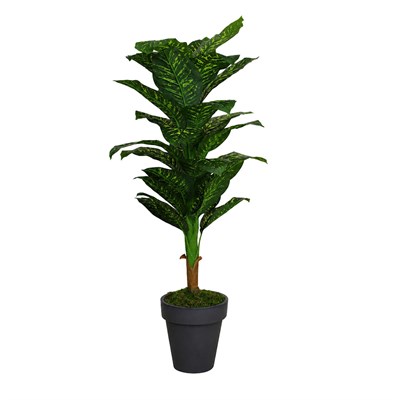 Yapay Difenbahya Ağaç Yeşil 160 cm