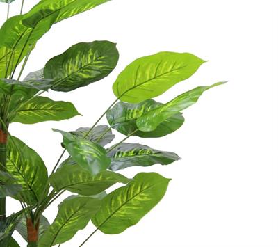 Yapay Difenbahya Ağacı Saksısız 130 cm