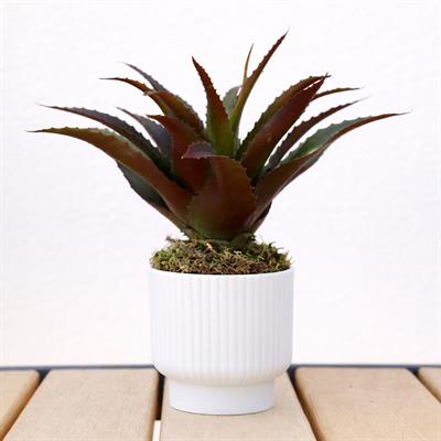 Yapay Dikenli Sisal Sukulent Kızıl Yeşil 26 cm