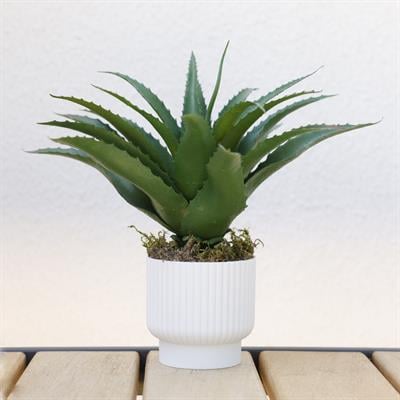 Yapay Dikenli Sisal Sukulent Yeşil 26 cm