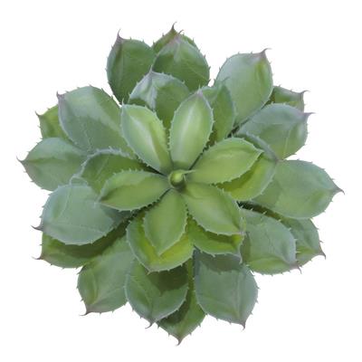 Yapay Dikenli Sukulent 35 cm