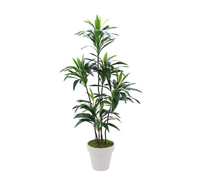 Yapay Dracena Ağacı 155 cm