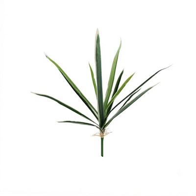 Yapay Dracena Demet Alacalı Yeşil 60 cm