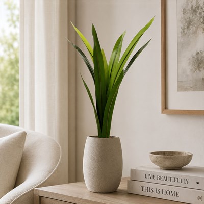 Yapay Dracena Demet Yeşil 60 cm