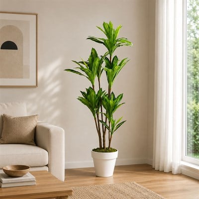 Yapay Drasena Ağaç 200 cm