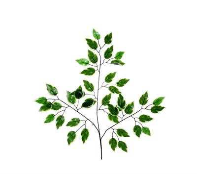 Yapay Ficus Benjamin Starlight Dalı Alacalı