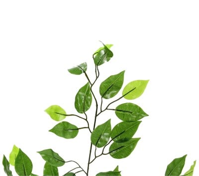 Yapay Ficus Benjamin Yaprak 3 Dal Parlak 60 cm