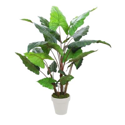Yapay Fil Kulağı Ağaç 170 cm