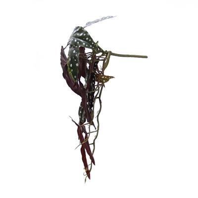 Yapay Fil Kulağı Sarmaşık Demeti 55 cm