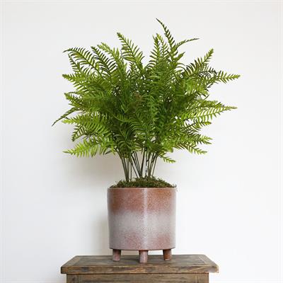 Yapay Fujer Demeti 65 cm