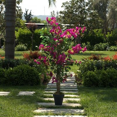 Yapay Fuşya Begonvil Ağacı 110 cm