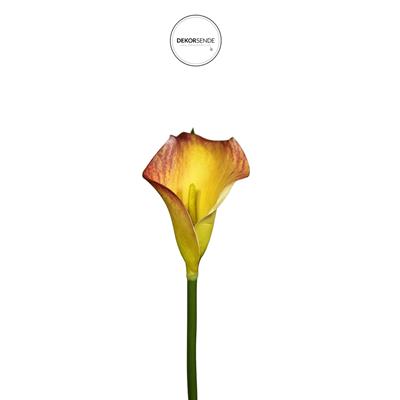 Yapay Gala Dalı Mini Turuncu 45 cm