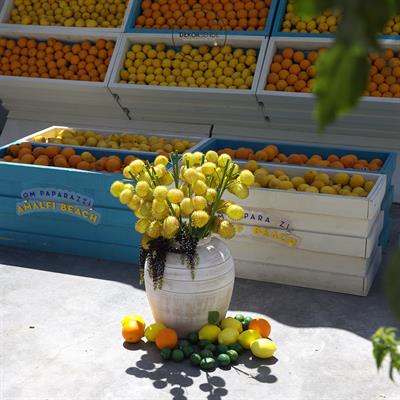 Yapay Garnitür Moby Dick Dalı Sarı 66 cm