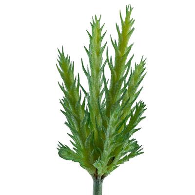Yapay İğne Yaprak Kaktüs Sukulent Dal Açık Yeşil 16 cm