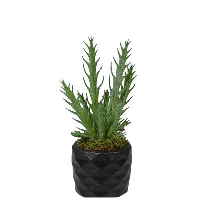 Yapay İğne Yapraklı Kaktüs Sukulent Dalı Açık Yeşil 16 cm Saksılı
