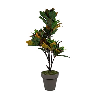 Yapay Kraton Ağaç 110 cm