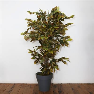 Yapay Kraton Ağacı 130 cm