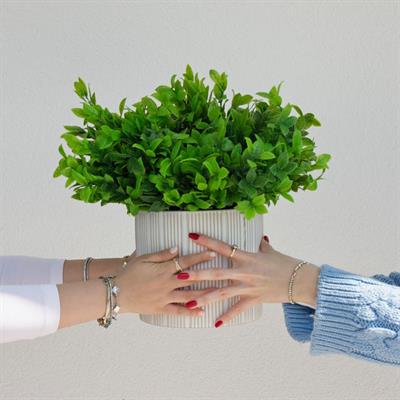Yapay Kuzu Kulağı Demeti 37 cm