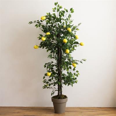 Yapay Limon Ağaç 170 cm