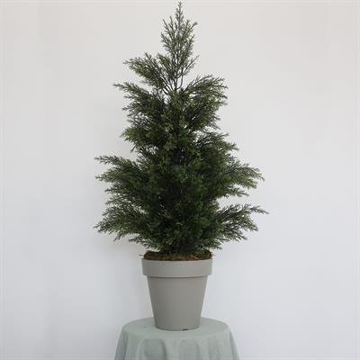 Yapay Limon Servi Çam Ağaç 135 cm